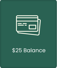Prepaid Virtual Credit Cards - $25 Balance Card