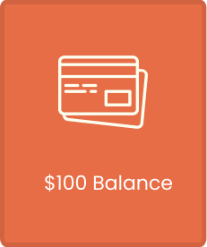 Prepaid Virtual Credit Cards - $100 Balance Card